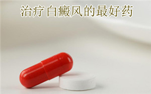 ���������ļ����