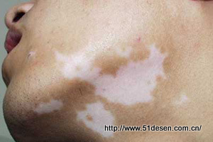 ���������ļҺ�