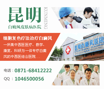 �������ư���ר��ҽԺ���ļ�